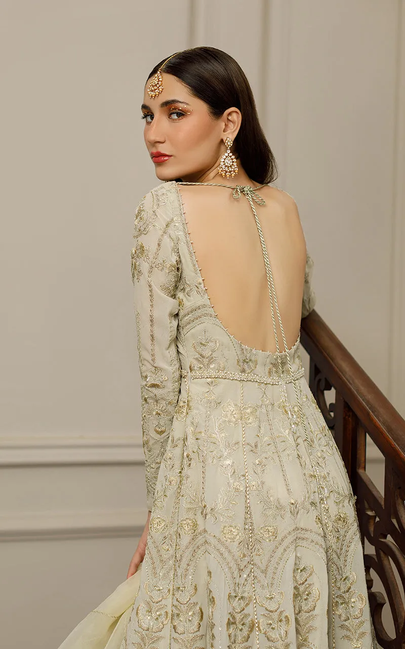 Chiffon Embroidered Maxi